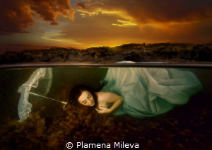 In the sunset by Plamena Mileva 